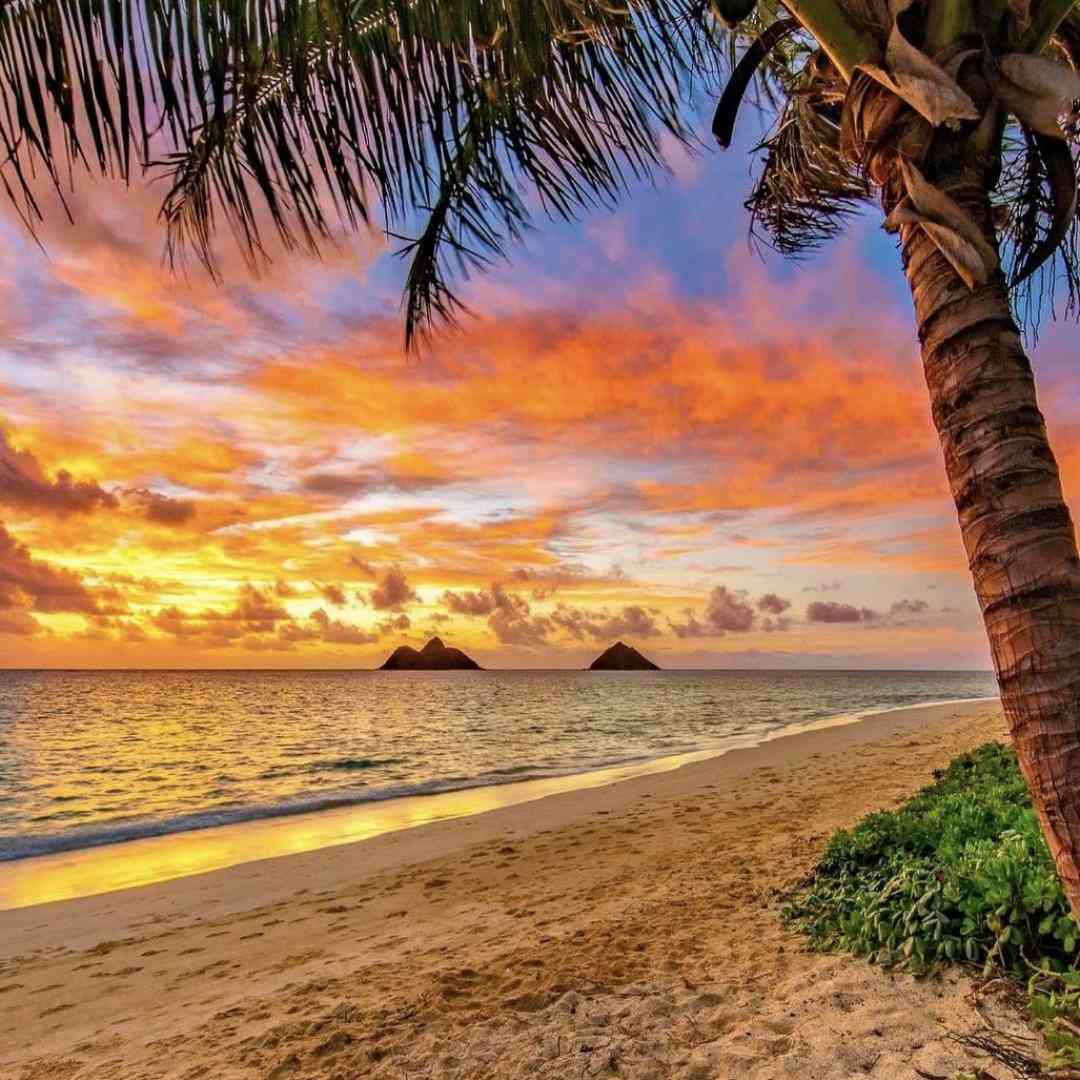 اول مهره مدرسه ها باز شده اینستایی