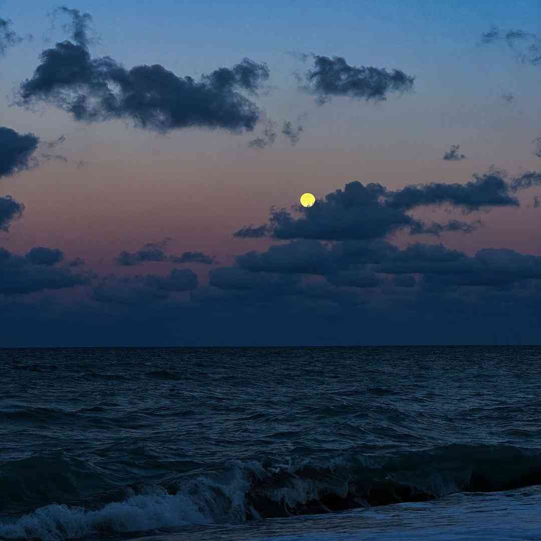 حد من کو کدوم شهرو بگردم هوش مصنوعی