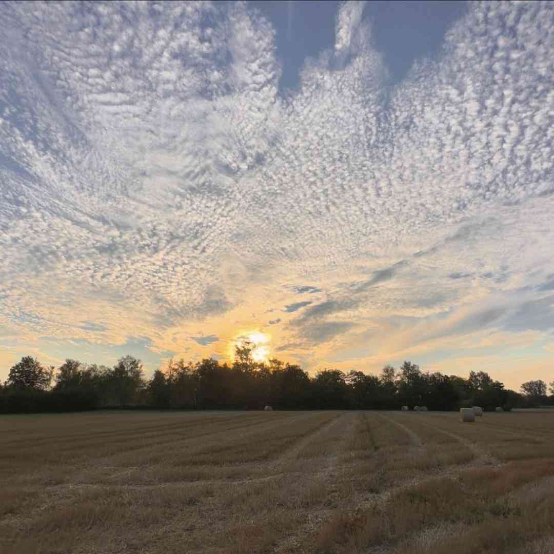 از تراس بپریم آنتن ندیم محاله پلیس بیاد