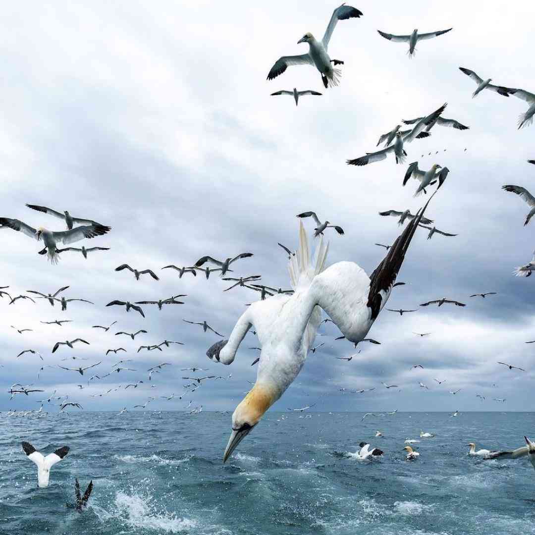 خدای مهربون بی تو د قهرم یار با صدای پسر اینستایی