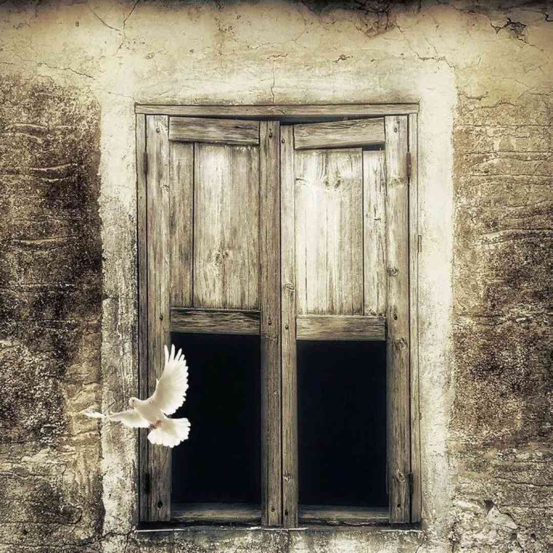 ما همه طایفه دومادیم هممون رو صندلی