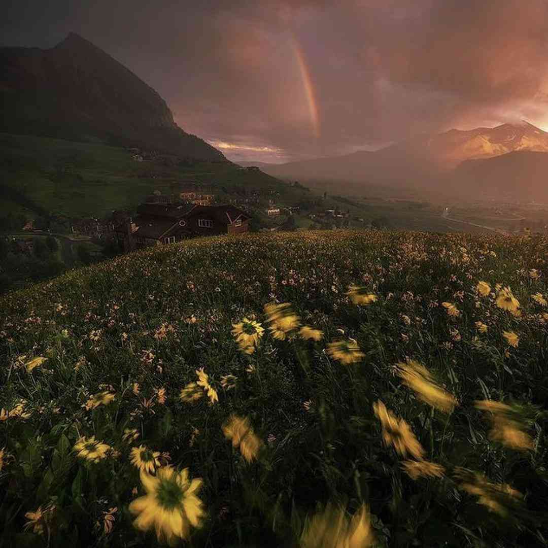 متنفرم از ته دل من از اول مهر اینستایی