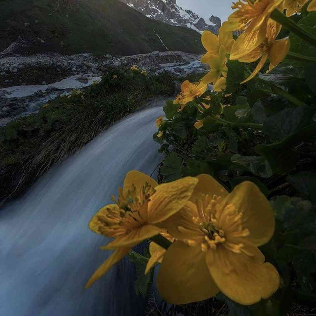 ببین مسیرم اصن با کپ جداست یه روز بمون