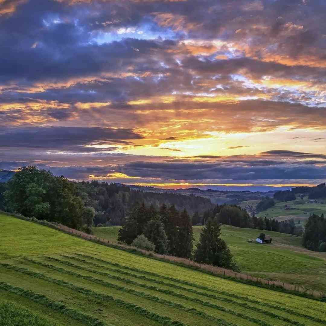 ترکی وای سنی لاله لاله دوشتک نه حاله حاله