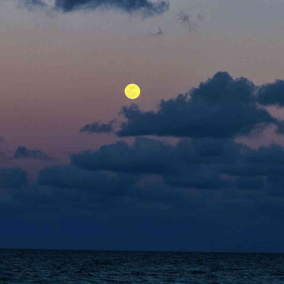 با تو جوزی نبودم تو چتیام اگه هنوز دوسم داری