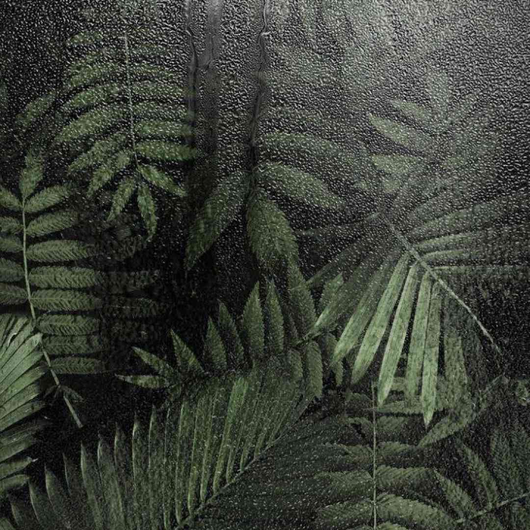 اونقدر دوست دارم که نمیدونی باید همه دنیا رو