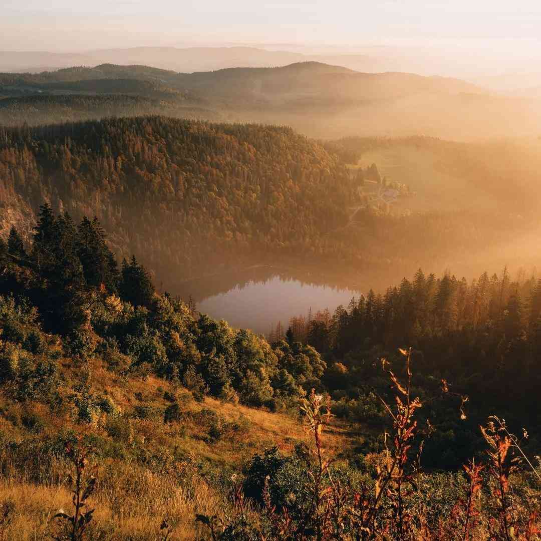 روی بومه خونه یه جغد پیره که اونم مثه من
