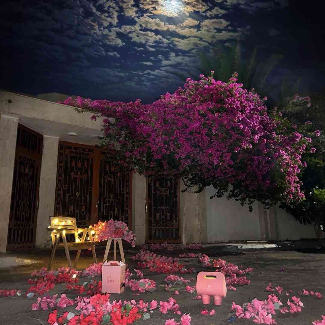  خستم از کمبودام میرقصم تنها مست تو باد من زیر دردام