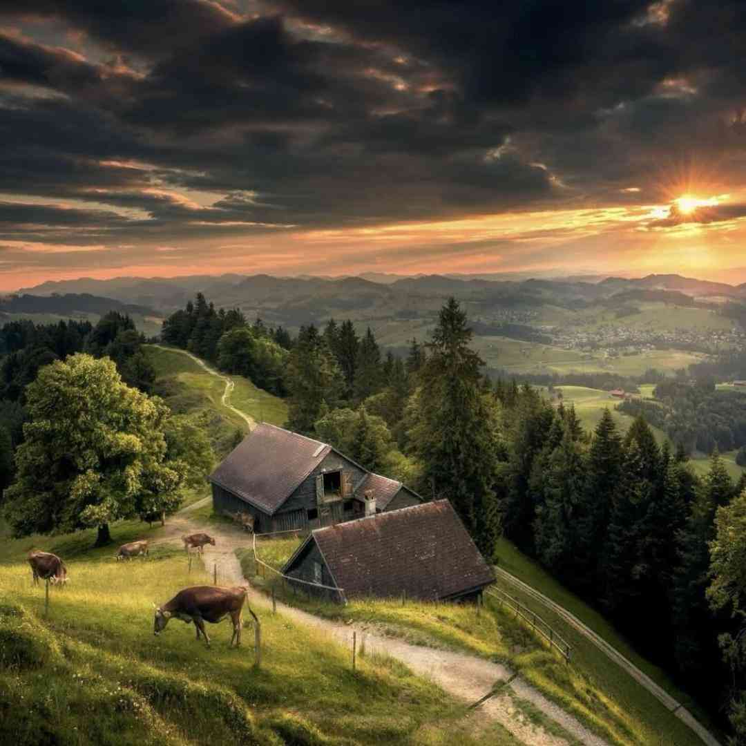 تخت سینمه کینه ها چند ساله حس تنفر