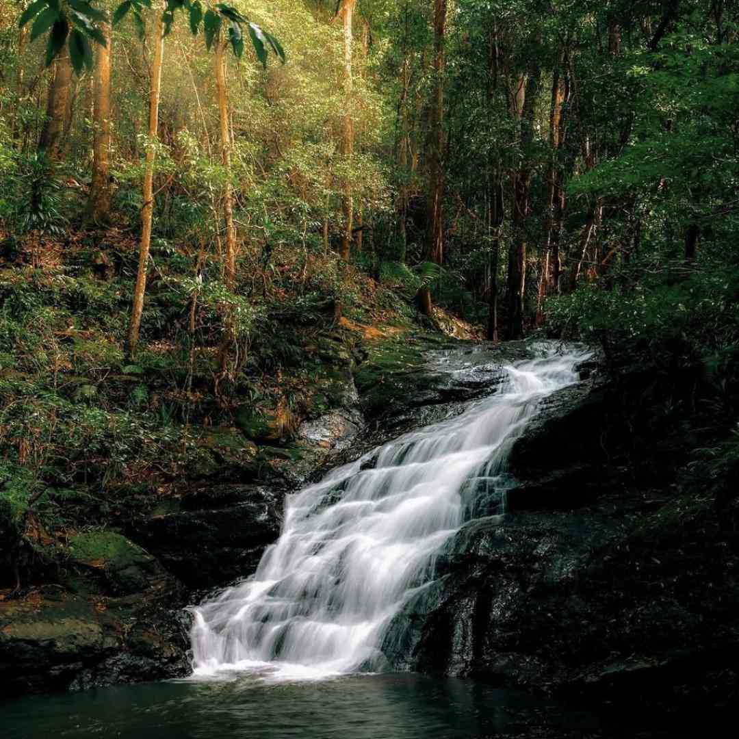 همیشه حواس جمع از بیرون آروم تو مغزم دعواس