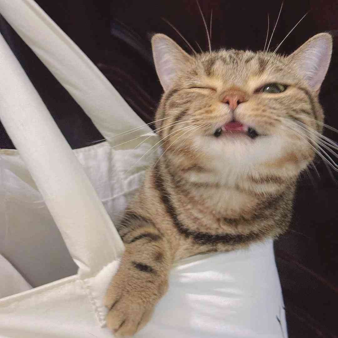 اینجا فحش ناموسی تعطیل ناسلامتی مردین اسم