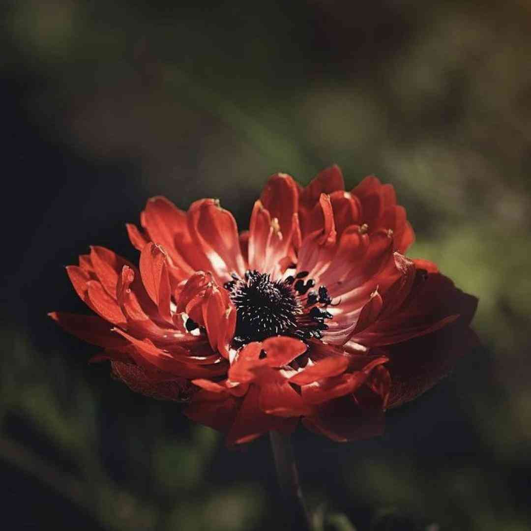 من ممنونم که بخاطر اون باهام بهم زدی با صدای پسر