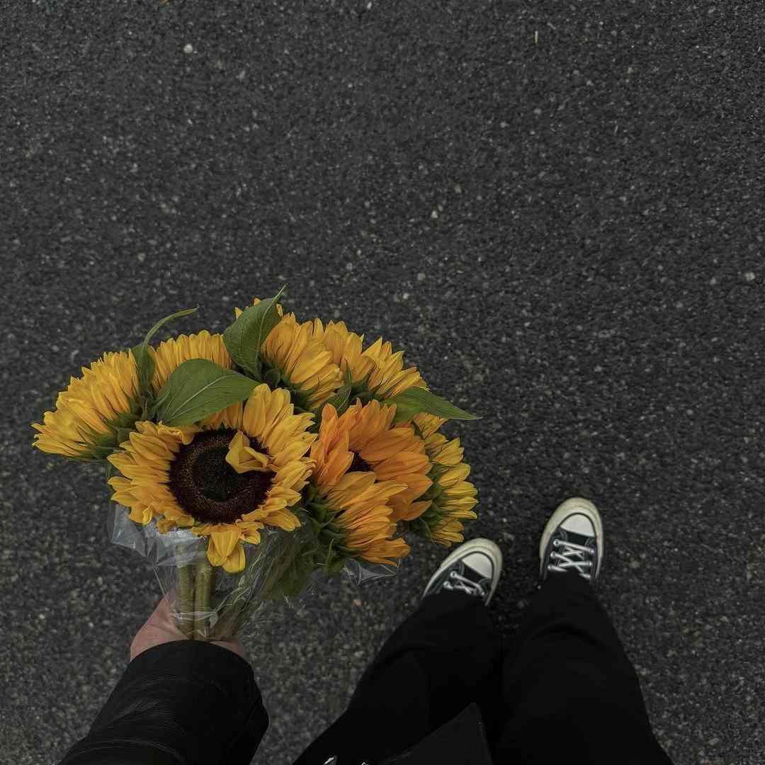  دلم تنگه پرتقال من گلپر سبز با صدای دختر