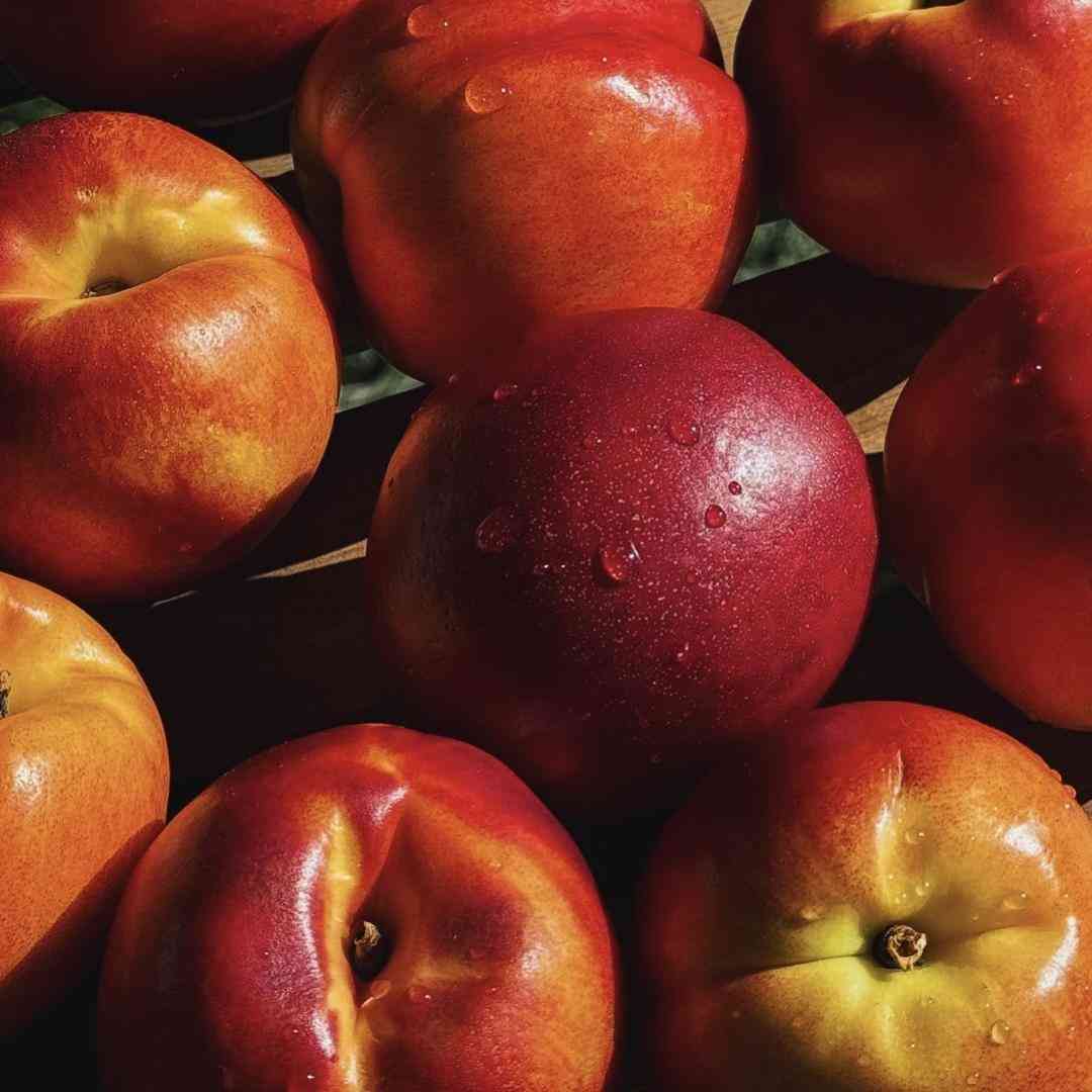 فاطمه عطایی تو این زمونه به کی میتونم دل ببندم