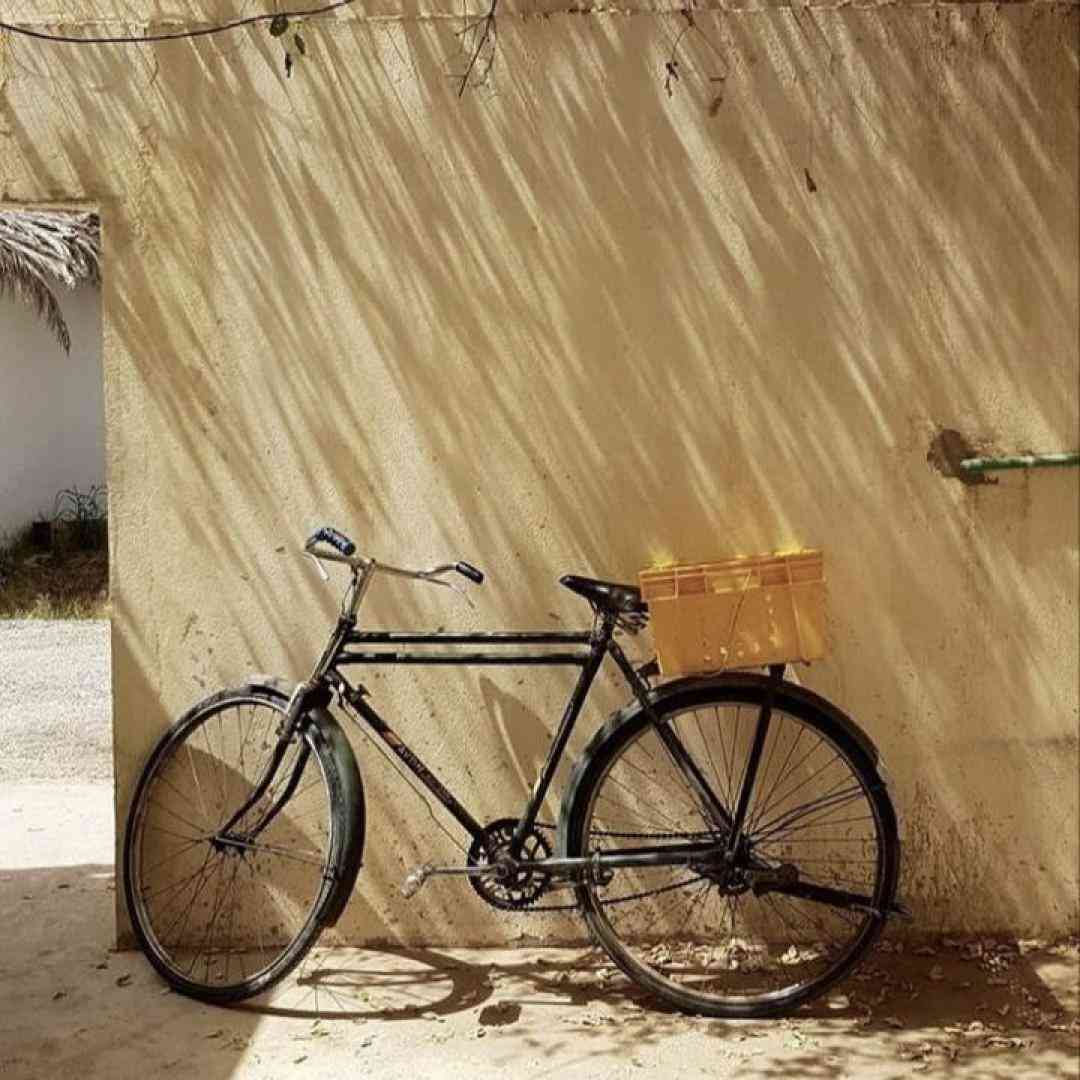 میده صندوقو مشتی تکون و هی میگه سلام سلام