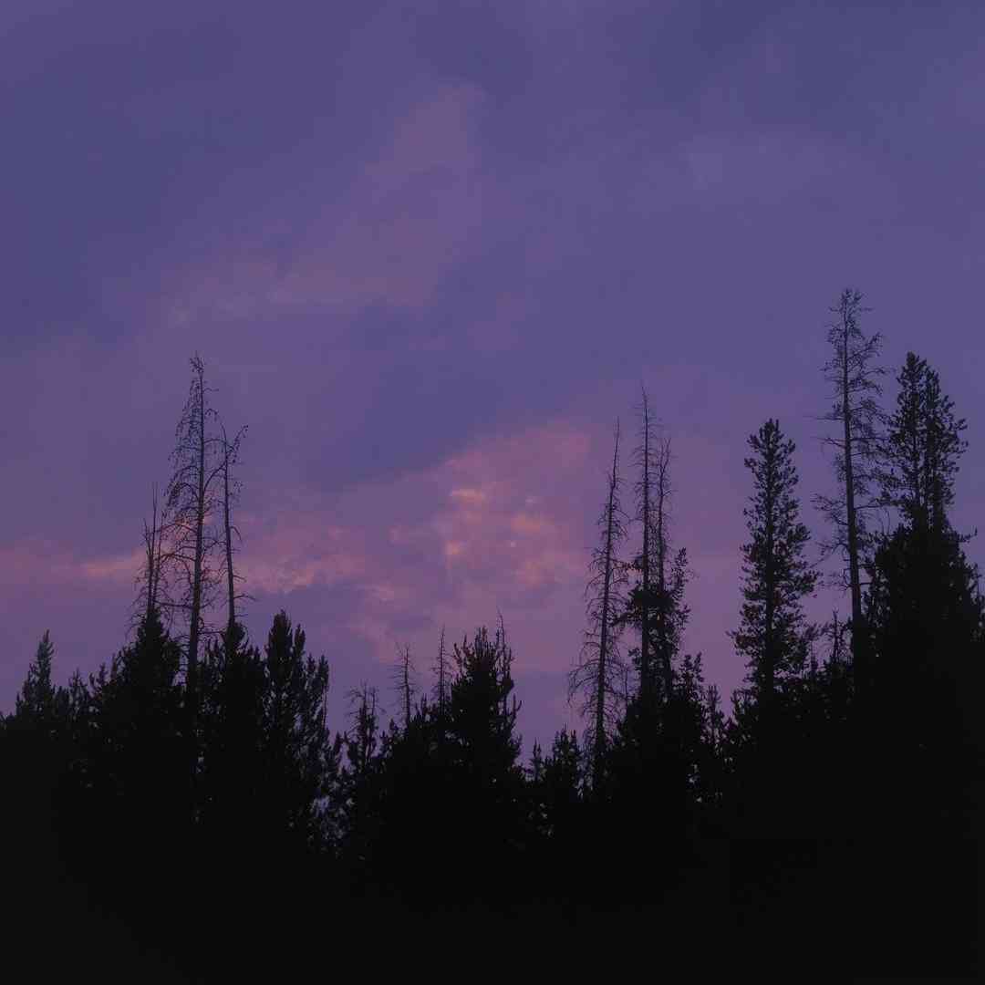 خبر رسیده بعد من با چند نفر بودی حق داری