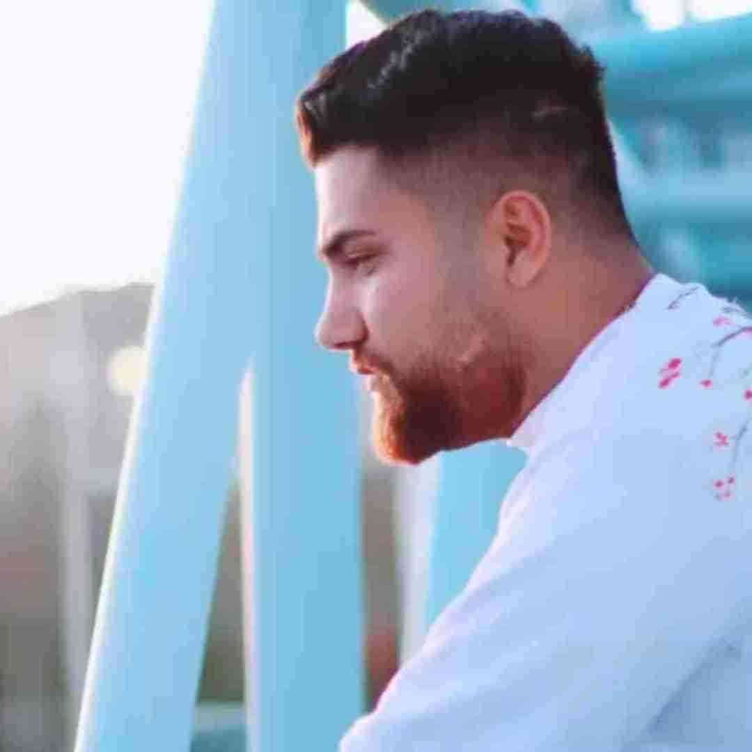 حامد سنجابی نازی