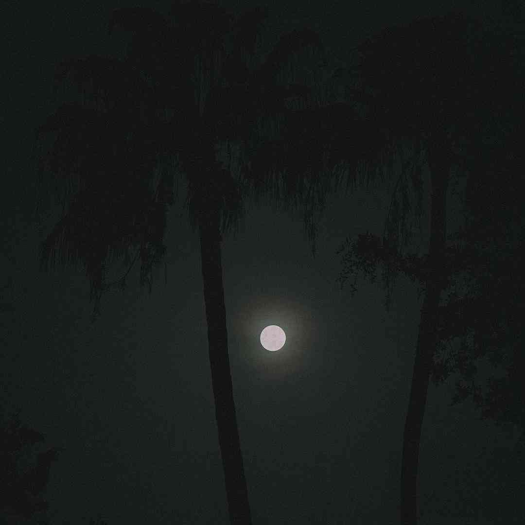 دشی یه موی سیاه مامان دستای جوون و قوی بابا