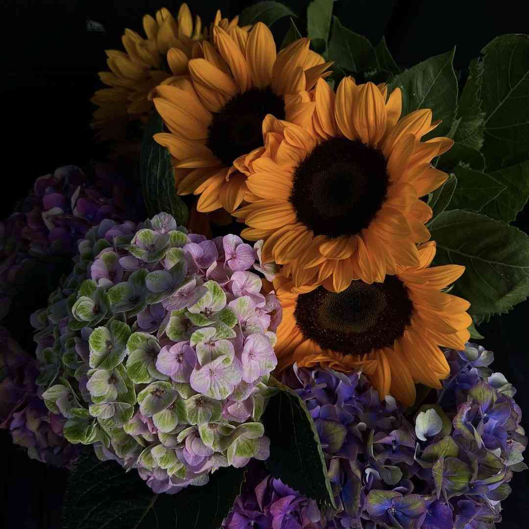  من بی عارم سیگارم تیغ بیکارم میگازم