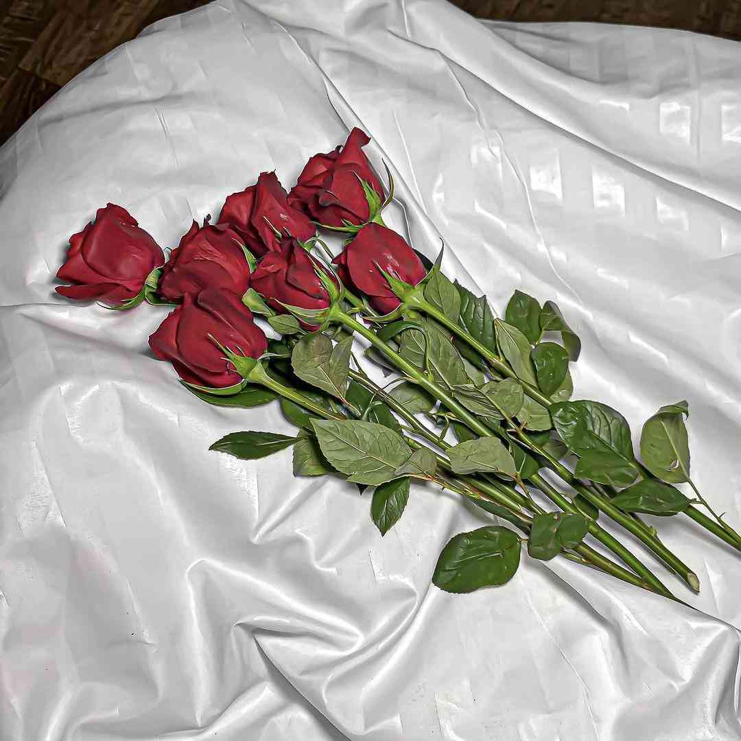 چیزی که حال میکنی من نظرم نی