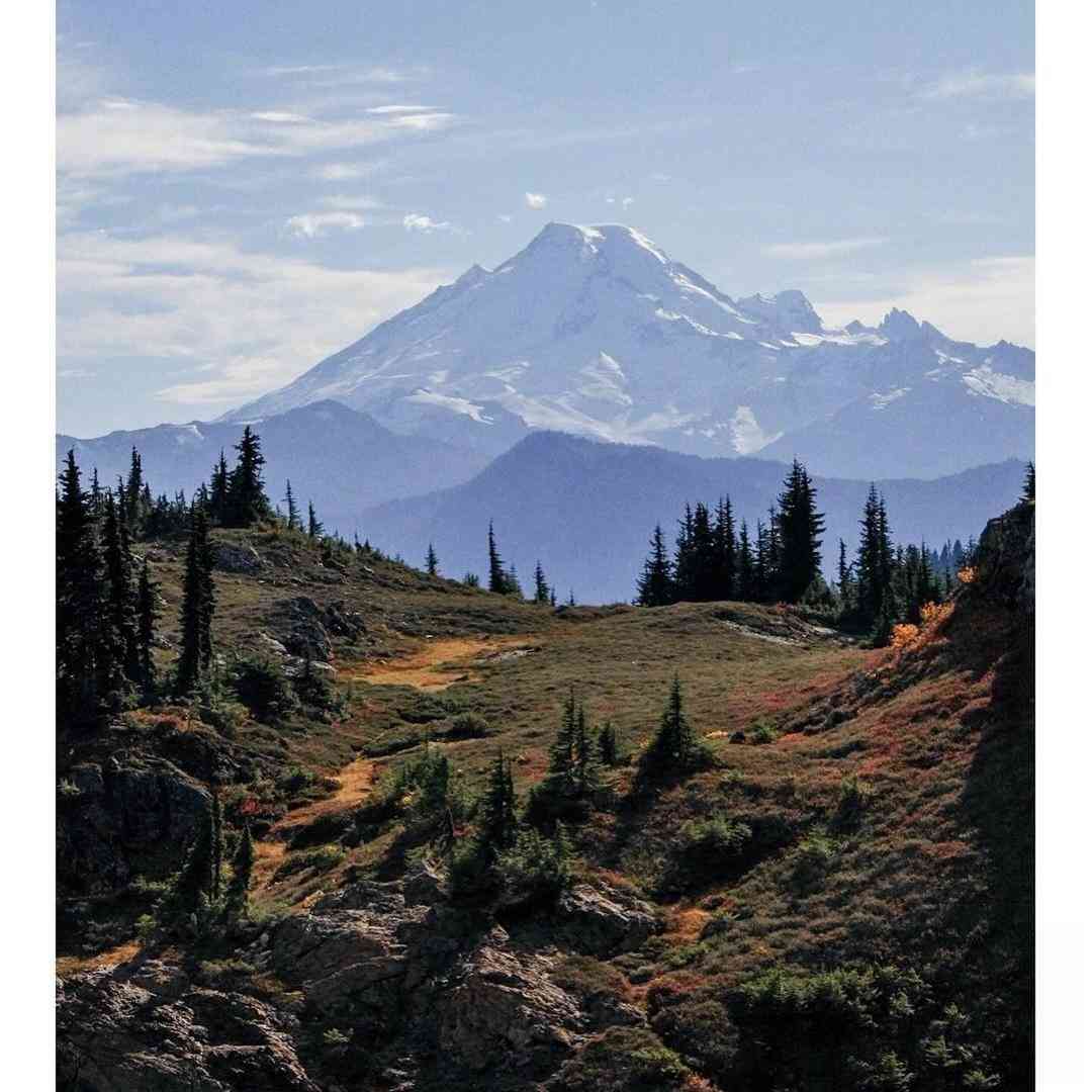  تا میتونی مامانو ببین تا میتونی کیسه رو از دست بابا بگیر