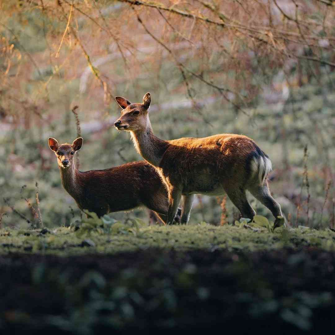 مرده تو من دیگه عشق و رحم و اعتماد تر و خشک