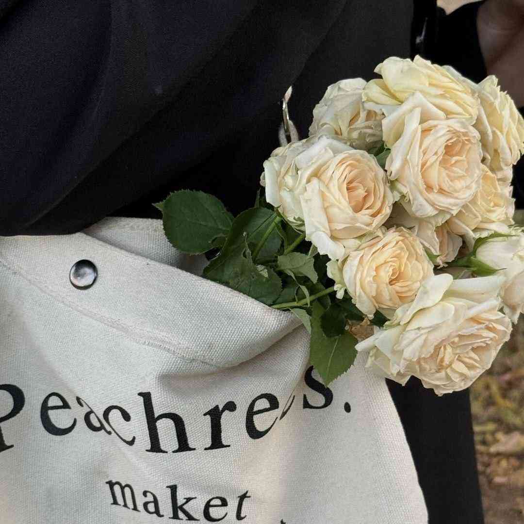  مانی پانی فول دلاری ولی تو هنو جیمی