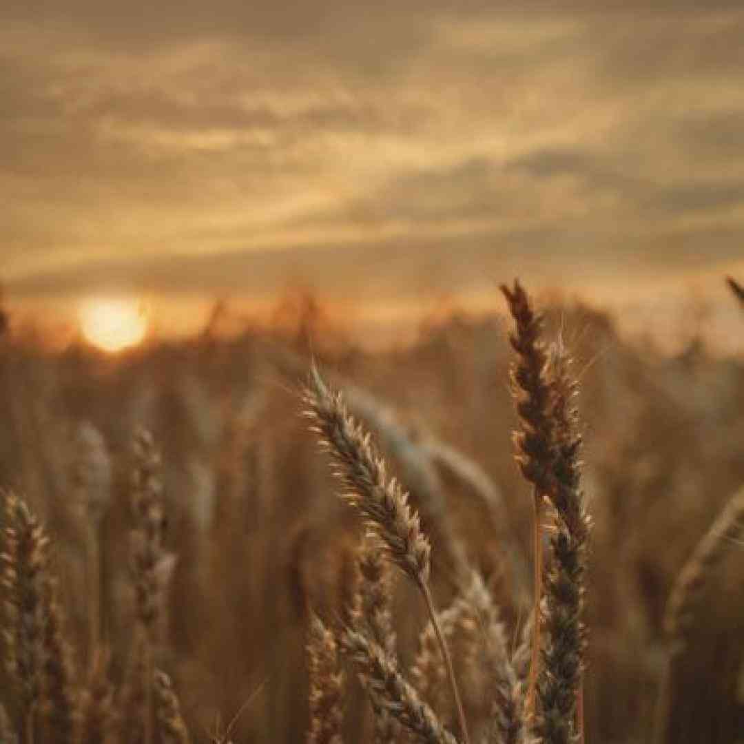 حالا میمیرم اوفینا وای کمرم اوفینا