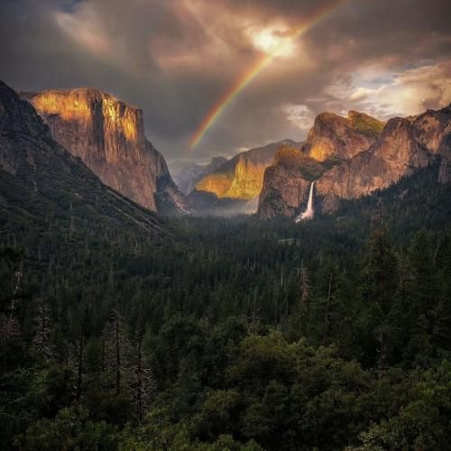 یک فمیلی فرست همه چی اونه صبحونه بخور