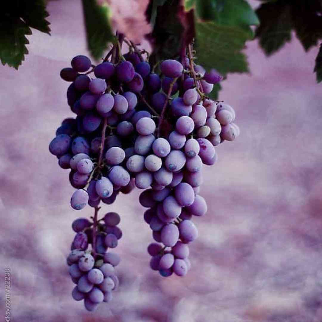 بابای من بعد بیست سال سر من داد نزده - ترند