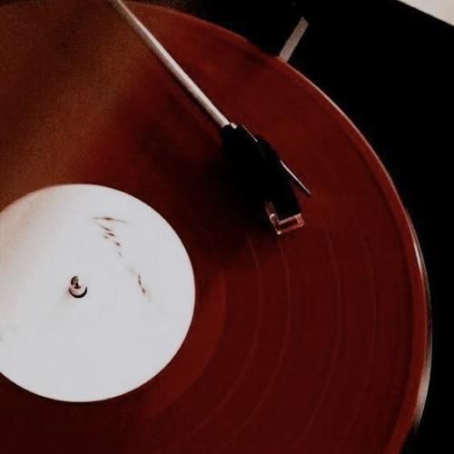 سلامتی اون که اهلی نمیشه وحشیه سلامتی هرچی