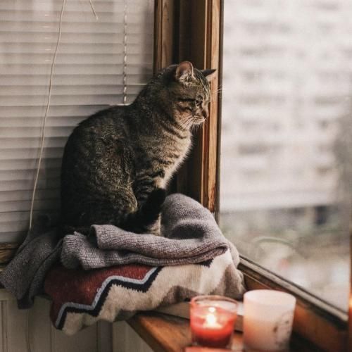 شما میگی سلامتی ما سلوم بوم بوم بوم