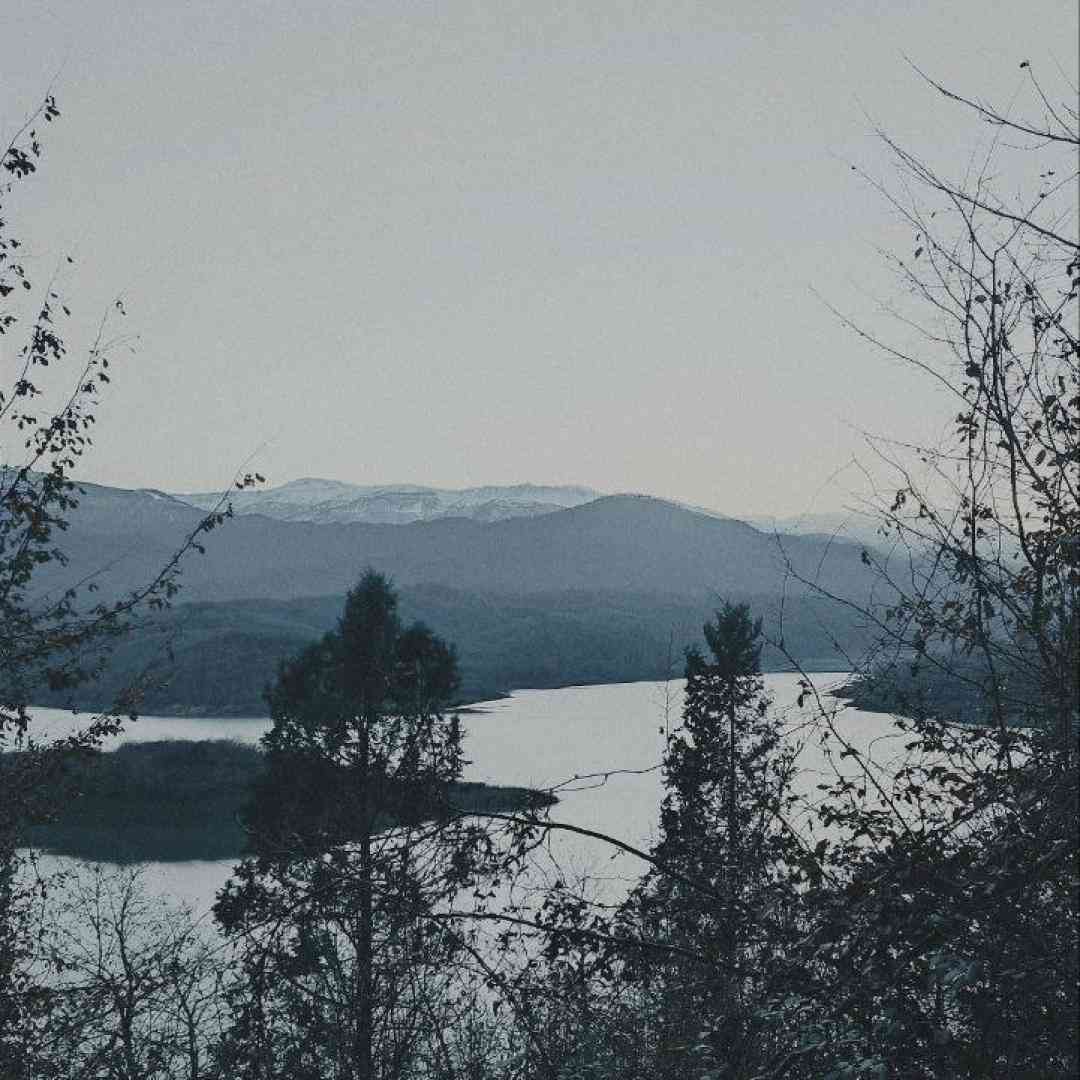 فاطما فاطما فاطما نقدر آجیسان فاطما