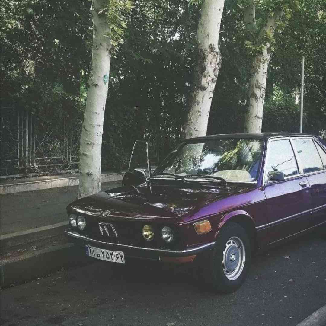 از دیشب چریده رو کاغذ خودکار با قابلمه