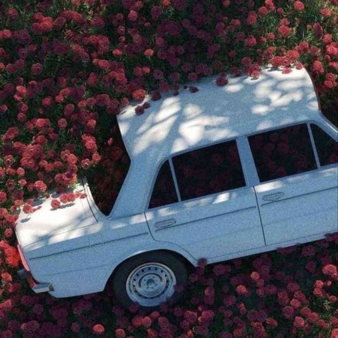 تف تف رو شعرام قفل هنوز مشروب گرونه