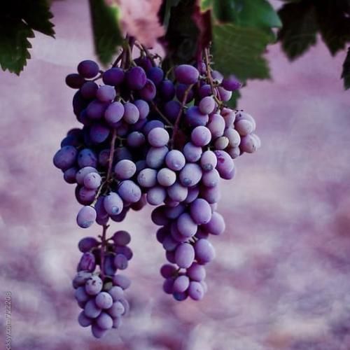 دل من از این آدما پره بعد از این شب با صدای پسر