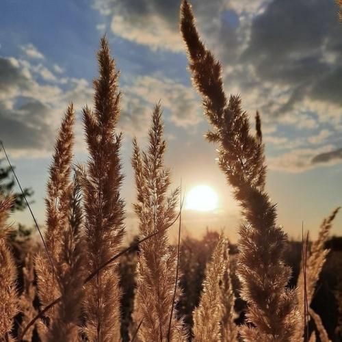 خط و خطوط یادگاری نبود زخمام روش پانسمانی یه سری