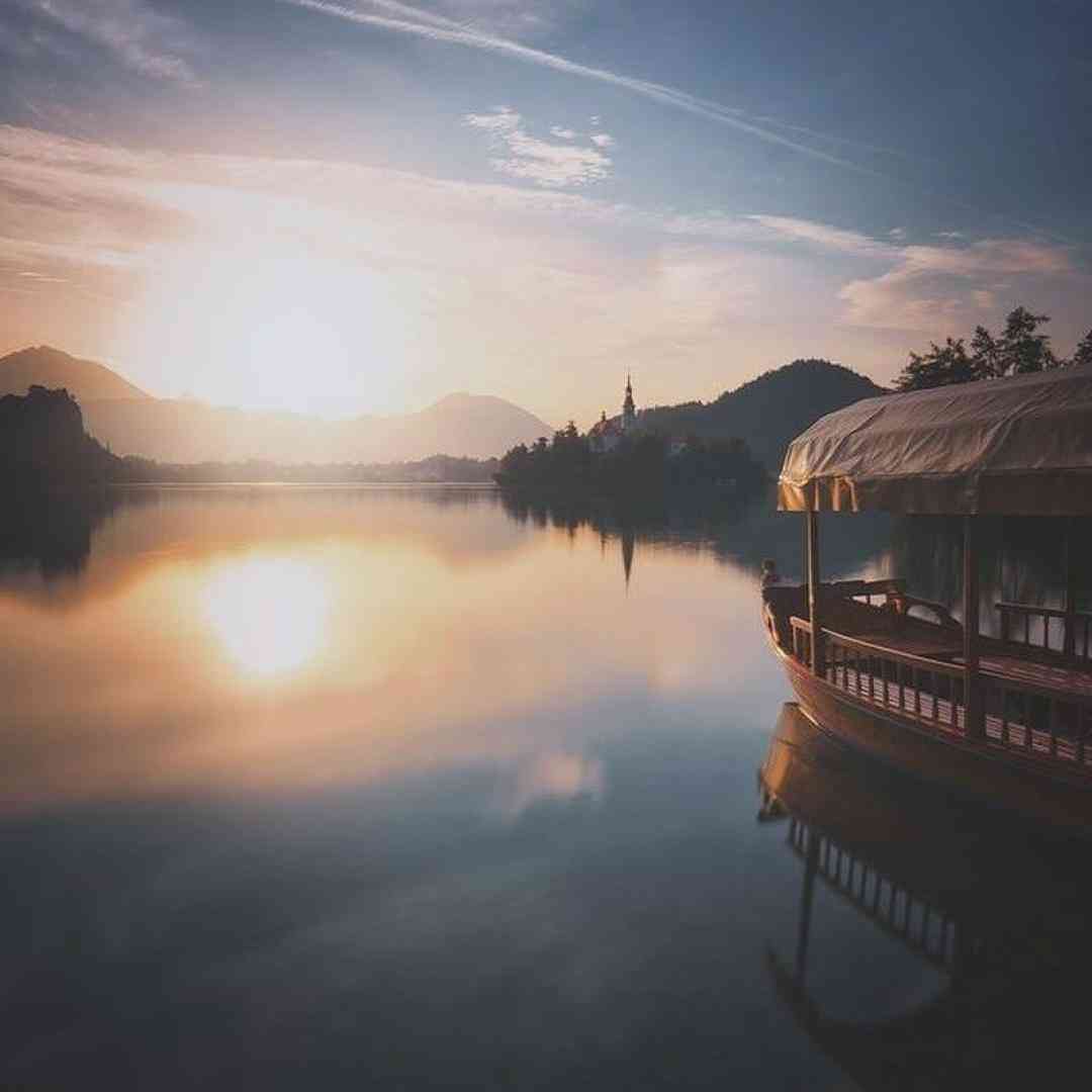 من آغاز میکنم یه پاییز پر از مرگ مو که افسرده حالوم