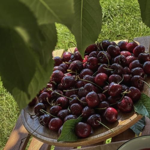 دو تا دستام رو دنده هاتن من دنده خور