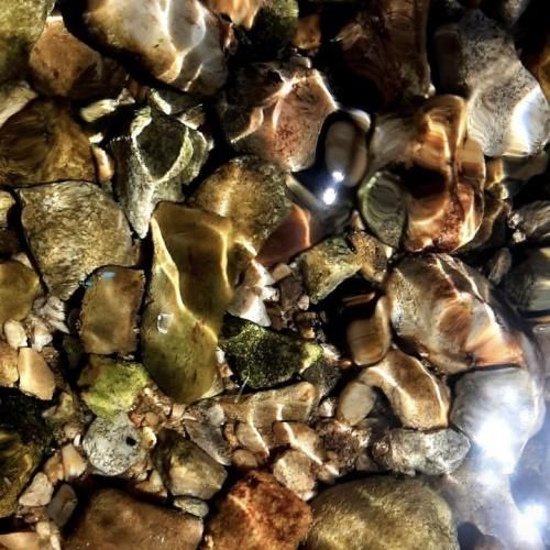 همون داداشیا دوشیدنت لباس کندن تورو