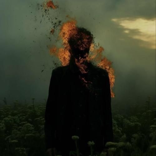 گل ز شاخه چیده زود میمیره اما (اینستایی)