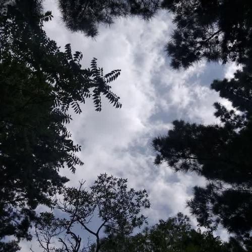 زیر گنبد کبود یکی بود یکی نبود عاشق