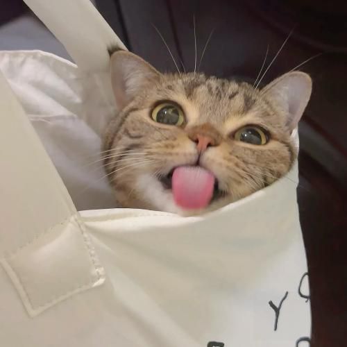 اگه دوسش داری نگو دوسش داری بده پولو