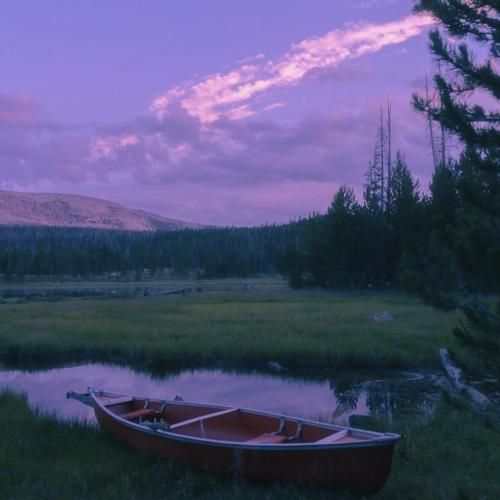 هی چه فاز سنگینی همه چی سفید سیاهه