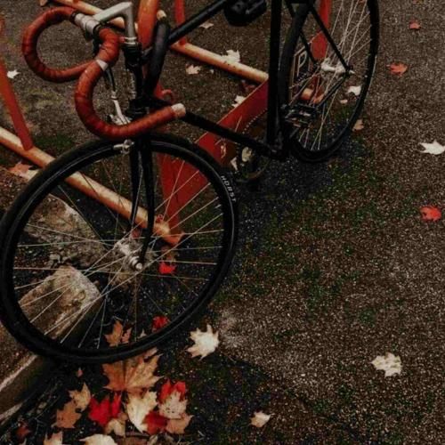 آمدی خواندی برایم قصه تلخ جدایی