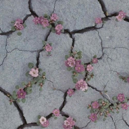 تولدت مبارک بیا بندازیم امشب یه عکس یادگاری