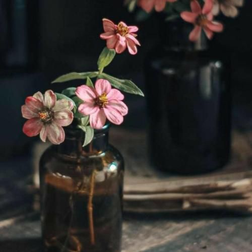 دست منه توی دستاتو سهم منه همه دنیا تو