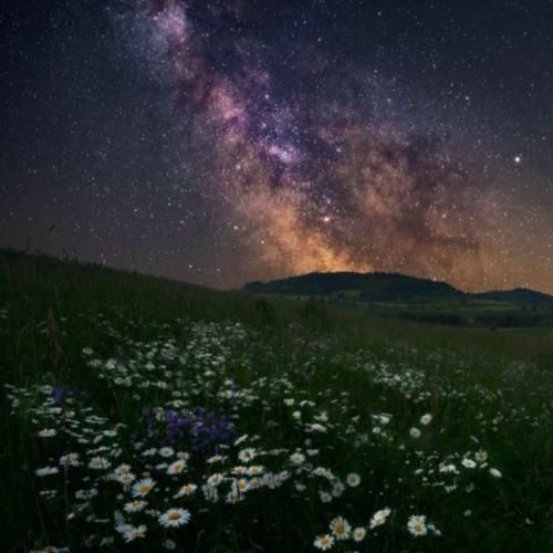 آقا ممد دلوم پی دلته آقا ممد دلوم