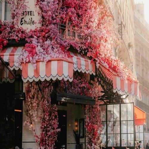 مهمون اومد اون یکی یکدونه اومد