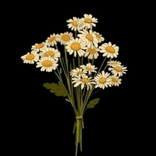 دلکم دلبرکم دلبر بانمکم چی اوردی سرکم